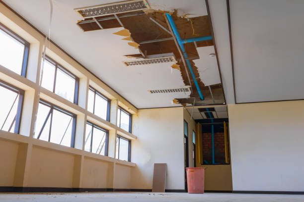 Best Local water damage restoration  in Glouster, OH