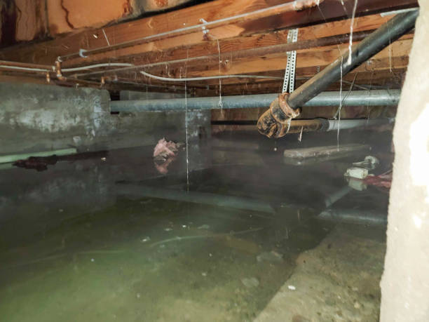 Water damage restoration insurance claims in Glouster, OH