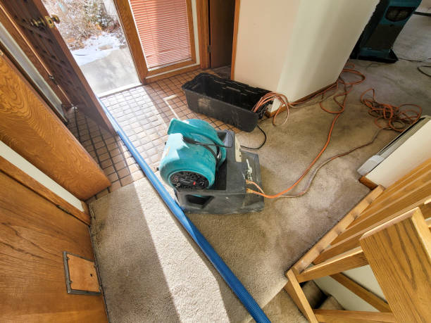 Best Flood damage cleanup  in Glouster, OH