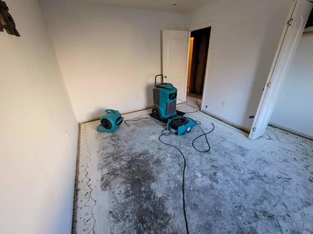 Best Ceiling water damage repair  in Glouster, OH