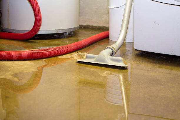 Best Water damage restoration near me  in Glouster, OH