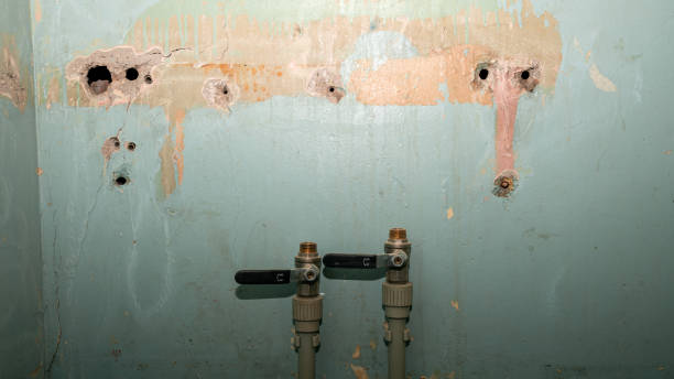 Best Fire Damage Restoration  in Glouster, OH