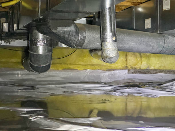 Best Local water damage restoration  in Glouster, OH