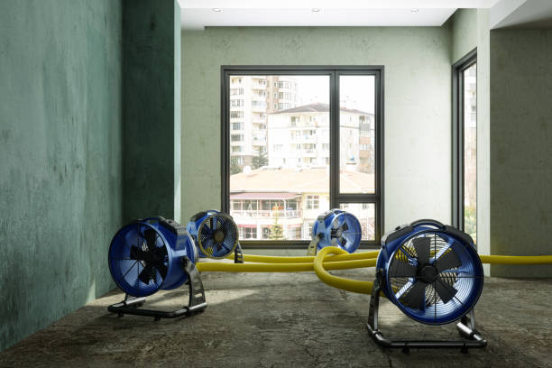 Best Emergency water damage restoration  in Glouster, OH
